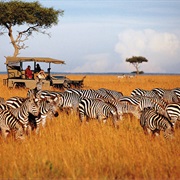 Do a Safari in Tanzania