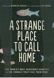A Strange Place to Call Home (Marilyn Singer)