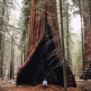 Adventure in Sequoia &amp; Kings Canyon, USA