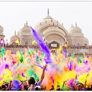 Go to the Festival of Colors