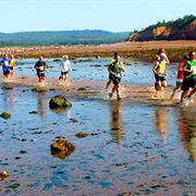 Attempt the Not Since Moses Run (Bay of Fundy)