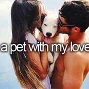 Get a Pet With My Love