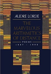 The Marvelous Arithmetics of Distance (Audre Lorde)
