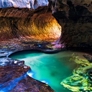 Visit Zion National Park