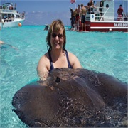 Handle Sting Rays in Sting Ray Alley in Grand Caymen