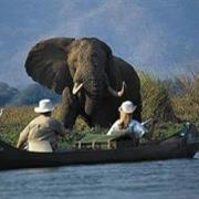 Mana Pools National Park, Zimbabwe