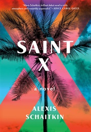 Saint X (Alexis Schaitkin)