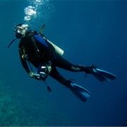 Get to the Surface If Your Scuba Tank Runs Out of Air