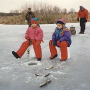 Fish on Ice