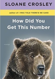 How Did You Get This Number (Sloane Crosley)