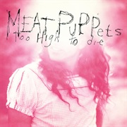 Meat Puppets — Too High to Die