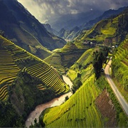 Rice Terrace, Vietnam