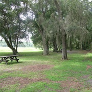 Fort Cooper State Park, Florida