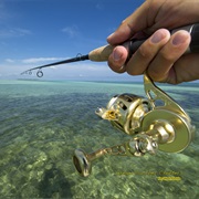 Fishing in the Florida Keys
