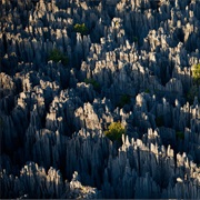 Tsingy De Bemaraha Strict Nature Reserve, Madagascar