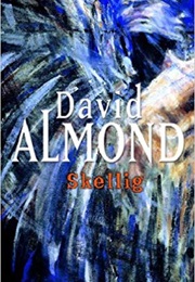 Skellig (David Almond)