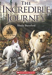 The Incredible Journey (Sheila Burnford)
