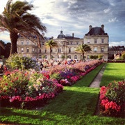 Go for a Morning Walk in Luxembourg Gardens