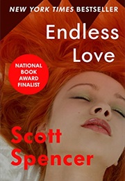Endless Love (Scott Spencer)