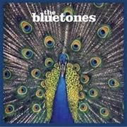 The Bluetones - Expecting to Fly