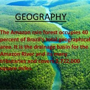 Amazon River &amp; Rainforest