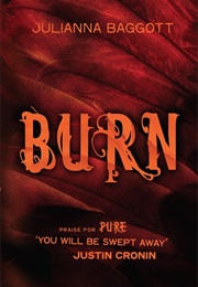 Burn (Julianna Baggott)