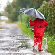 Go for a Walk in the Rain