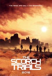 The Scorch Trial