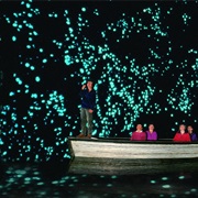 Ride a Boat Through Glowworm Cave in New Zealand