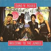 Welcome to the Jungle - Guns N&#39; Roses