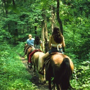 Go on a Trail Ride