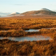 Flow Country, Scotland