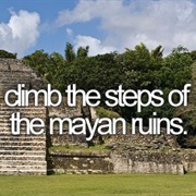 Climb the Steps of Mayan Ruins