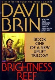 Brightness Reef (David Brin)