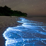 Bioluminescent Beaches, Maldives