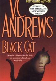 Black Cat (V.C. Andrews)