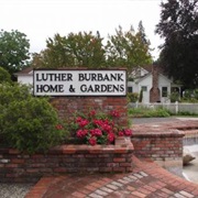 Luther Burbank Home &amp; Gardens (Santa Rosa)