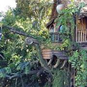Tarzan&#39;s Tree House
