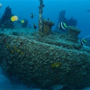 Curtin Artificial Reef
