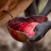 Maasai Blood &amp; Milk