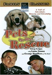 Pets (2002)