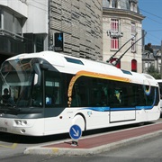 Trolley Bus
