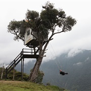 Swing at the Edge of the World at Casa Del Arbol