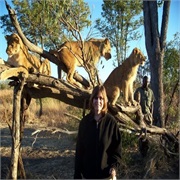 Pose With Juvenile Lions in Zimbabwe