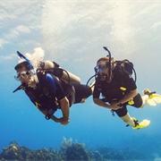 Scuba Diving in Bora Bora