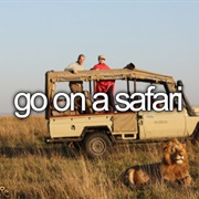 Go on a Safari
