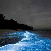 Watch Bioluminescent Waves From a Dark Beach