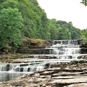 Aysgarth Falls, Yorkshire