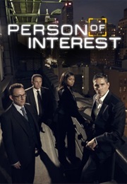 Person of Interest (2011)