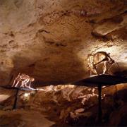 Naracoorte Caves National Park (SA)